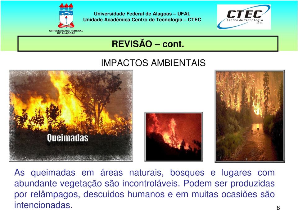 bosques e lugares com abundante vegetação são