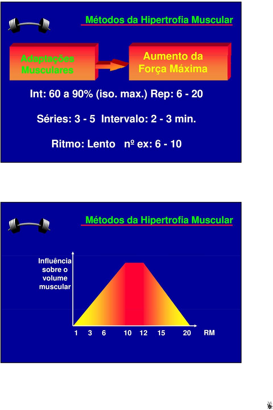 ) Rep: 6-20 Séries: 3-5 Intervalo: 2-3 min.