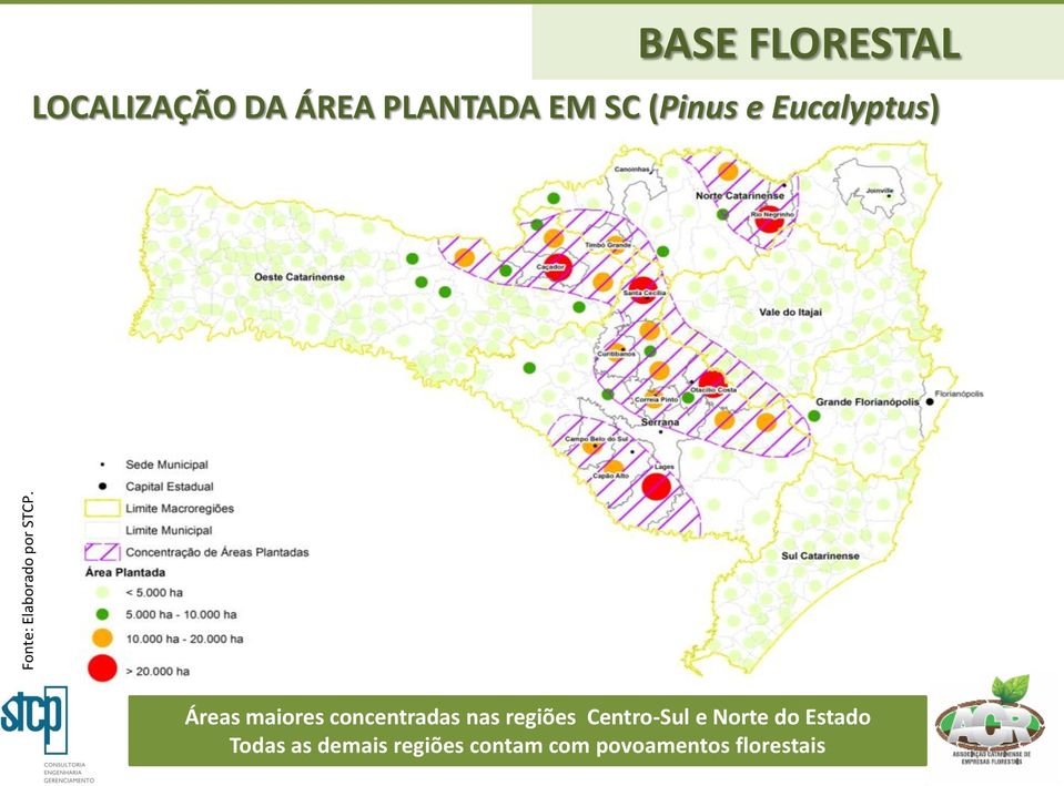 (Pinus e Eucalyptus) Áreas maiores concentradas nas