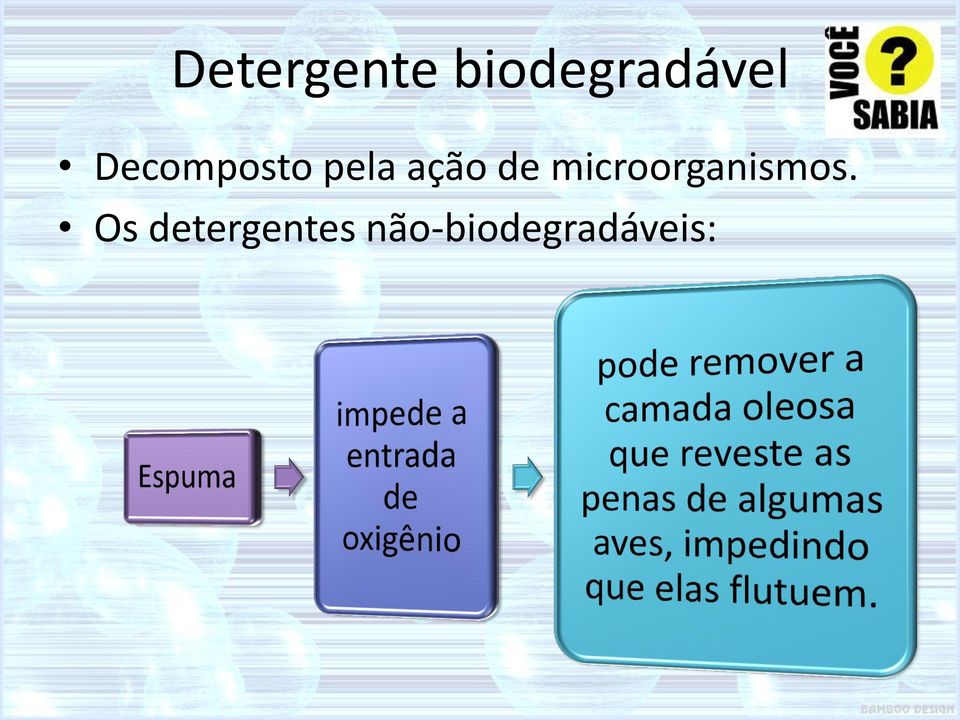 microorganismos.