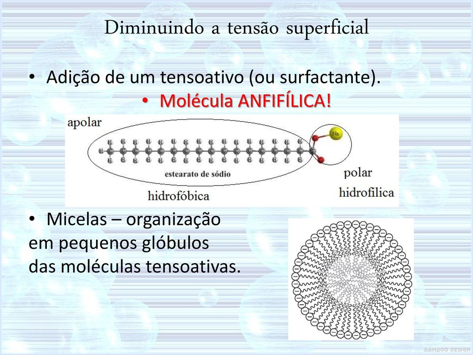 Molécula ANFIFÍLICA!