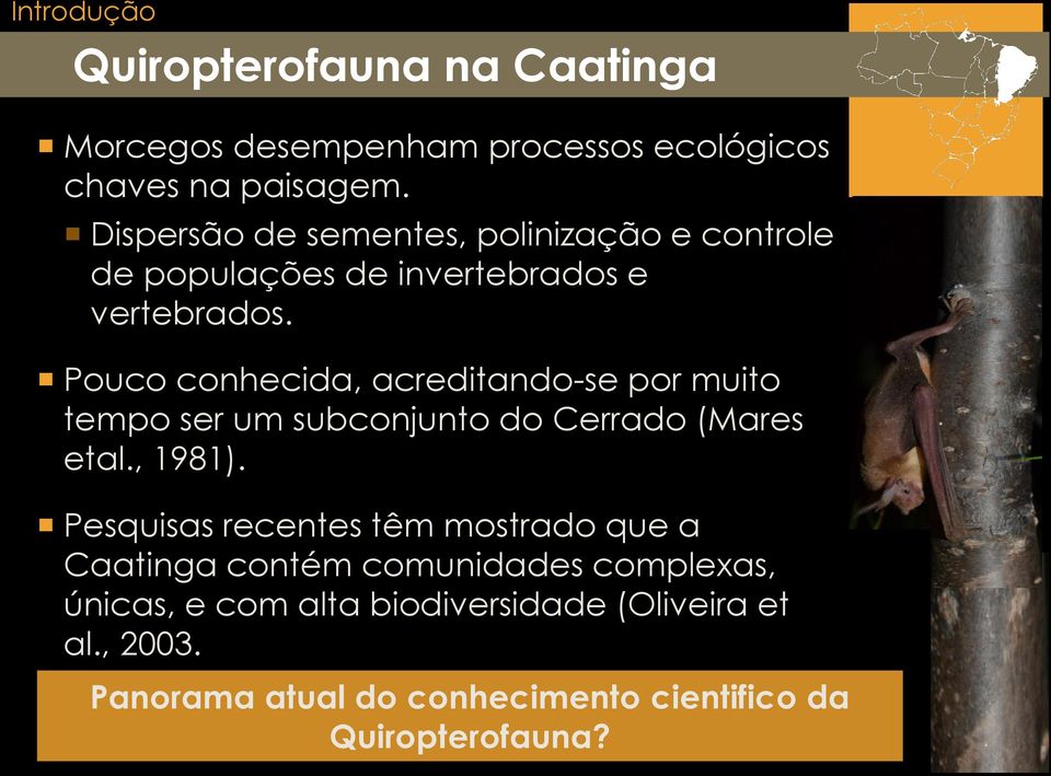 Pouco conhecida, acreditando-se por muito tempo ser um subconjunto do Cerrado (Mares etal., 1981).