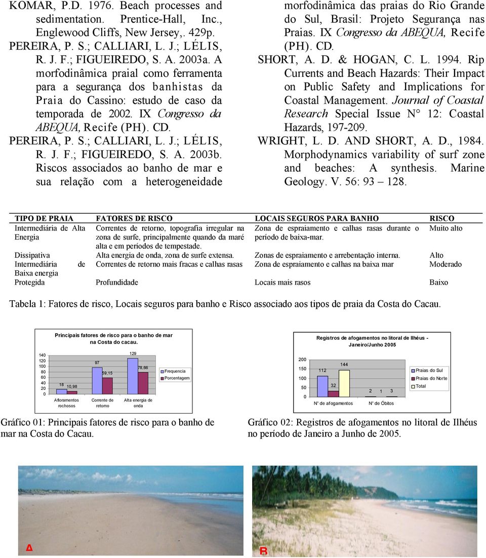 ; LÉLIS, R. J. F.; FIGUEIREDO, S. A. 2003b. Riscos associados ao banho de mar e sua relação com a heterogeneidade morfodinâmica das praias do Rio Grande do Sul, Brasil: Projeto Segurança nas Praias.