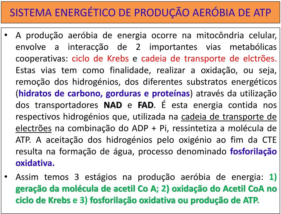 Estas vias tem como finalidade, realizar a oxidação, ou seja, remoção dos hidrogénios, dos diferentes substratos energéticos (hidratos de carbono, gorduras e proteínas) através da utilização dos