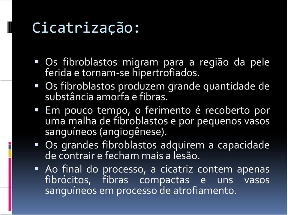 Em pouco tempo, o ferimento é recoberto por uma malha de fibroblastos e por pequenos vasos sanguíneos(angiogênese).