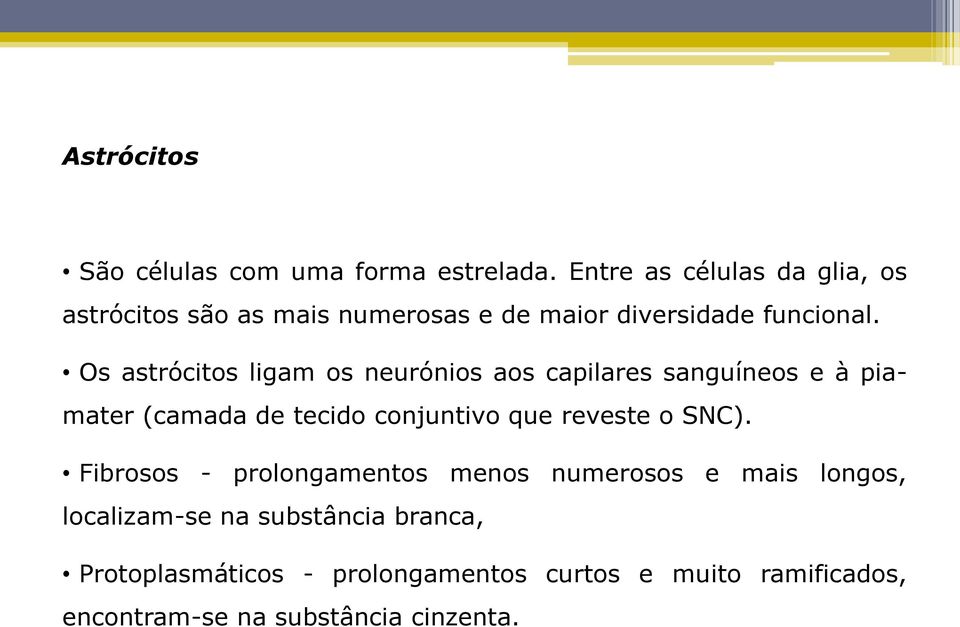 Os astrócitos ligam os neurónios aos capilares sanguíneos e à piamater (camada de tecido conjuntivo que reveste o