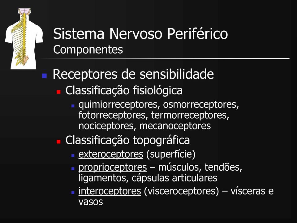 nociceptores, mecanoceptores Classificação topográfica exteroceptores (superfície)