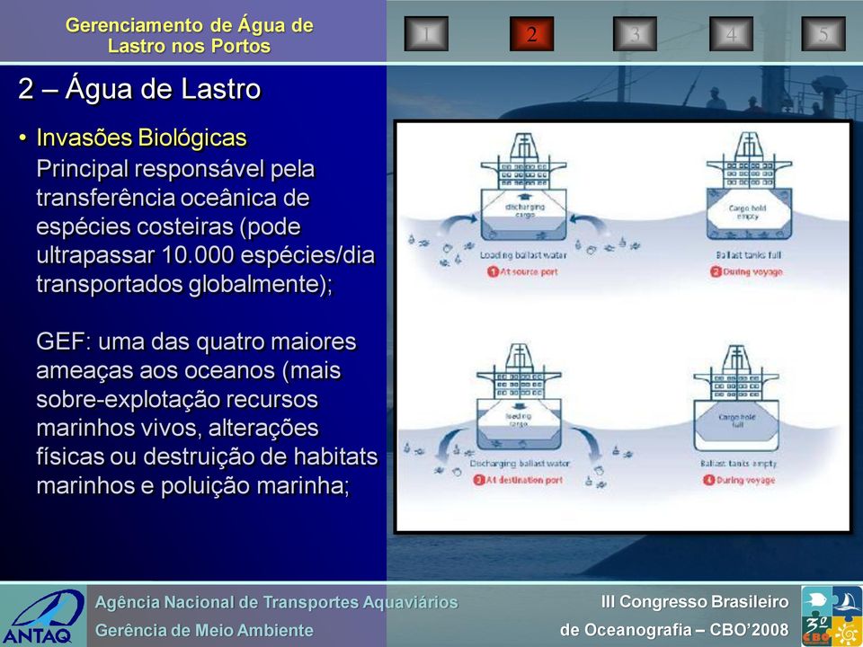 000 espécies/dia transportados globalmente); GEF: uma das quatro maiores ameaças aos