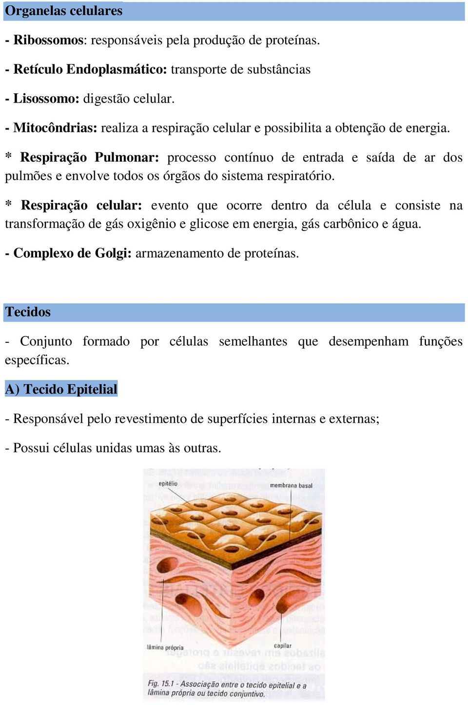 * Respiração Pulmonar: processo contínuo de entrada e saída de ar dos pulmões e envolve todos os órgãos do sistema respiratório.