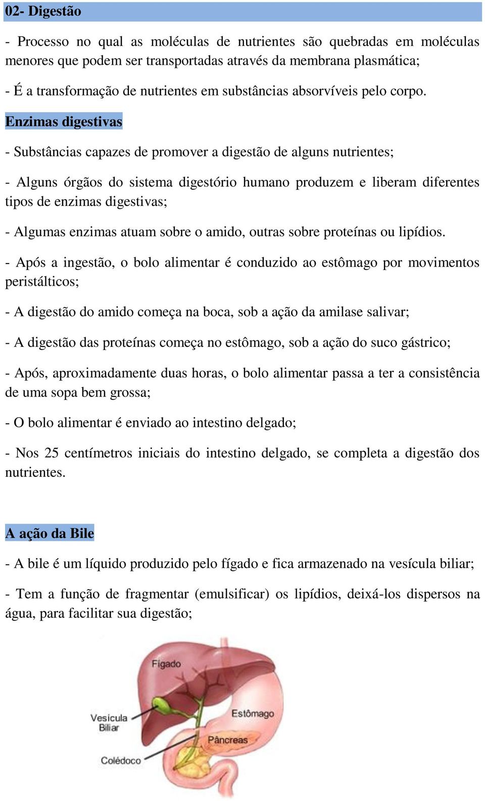 Enzimas digestivas - Substâncias capazes de promover a digestão de alguns nutrientes; - Alguns órgãos do sistema digestório humano produzem e liberam diferentes tipos de enzimas digestivas; - Algumas