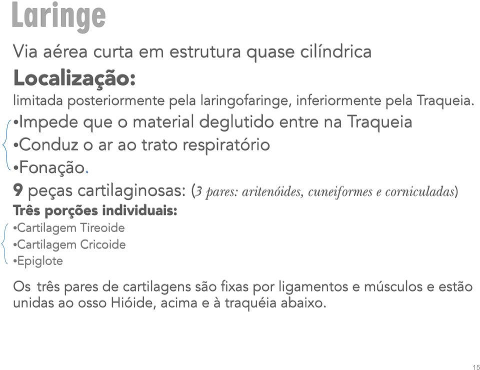 9 peças cartilaginosas: (3 pares: aritenóides, cuneiformes e corniculadas) Três porções individuais: Cartilagem Tireoide