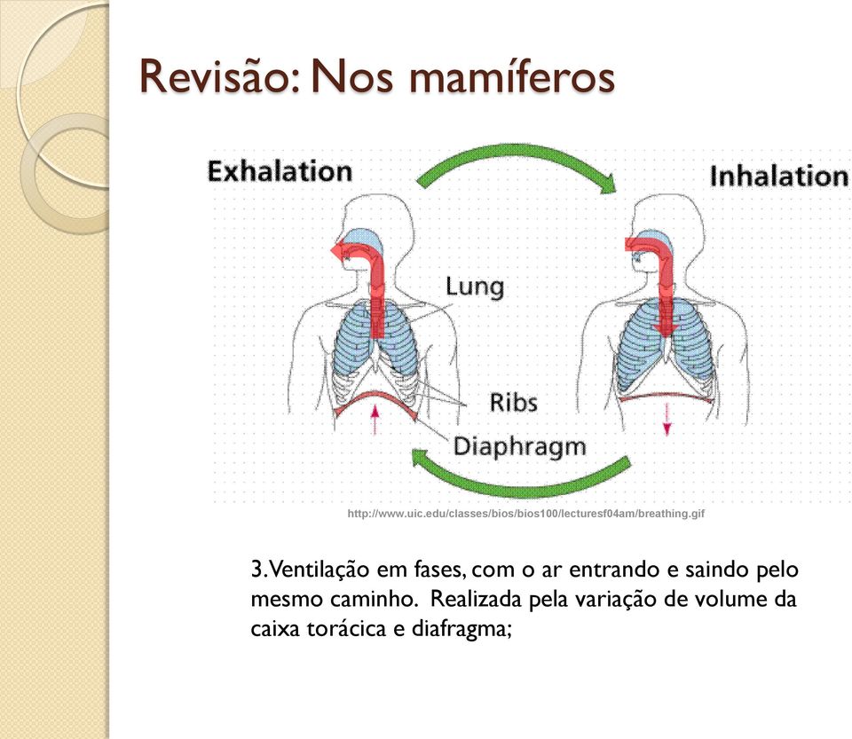 Ventilação em fases, com o ar entrando e saindo pelo