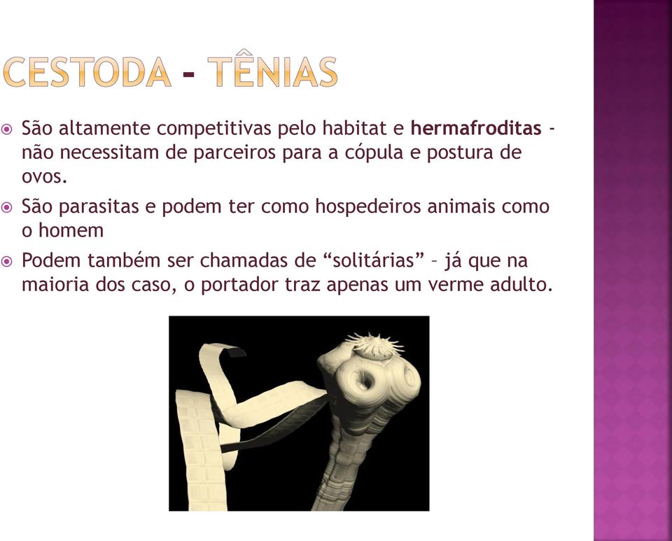 São parasitas e podem ter como hospedeiros animais como o homem Podem