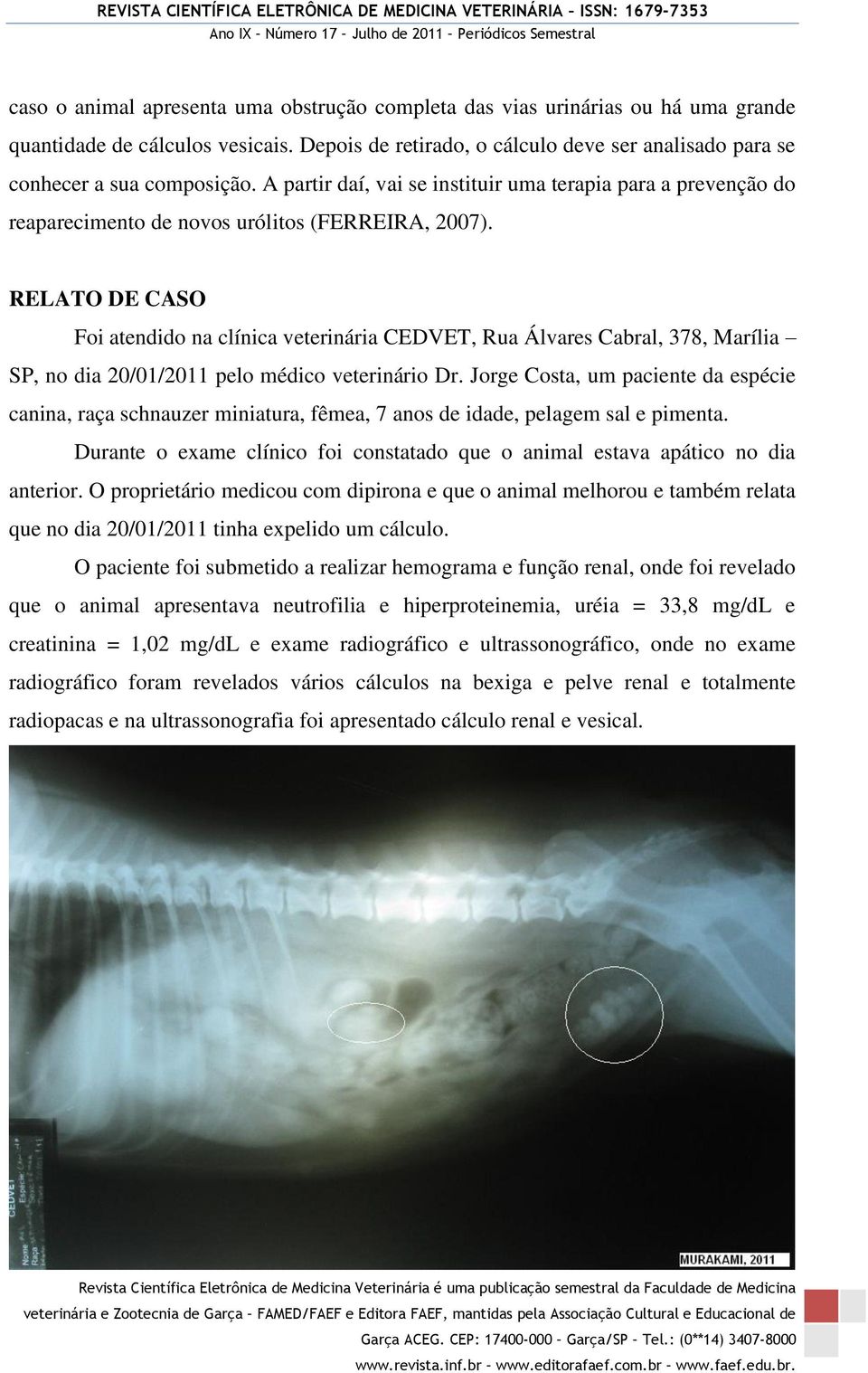 RELATO DE CASO Foi atendido na clínica veterinária CEDVET, Rua Álvares Cabral, 378, Marília SP, no dia 20/01/2011 pelo médico veterinário Dr.