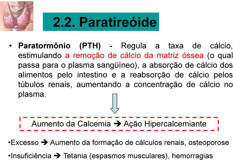 cálcio pelos túbulos renais, aumentando a concentração de cálcio no plasma.