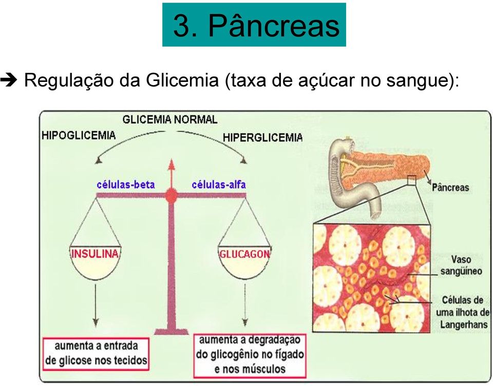 Glicemia (taxa