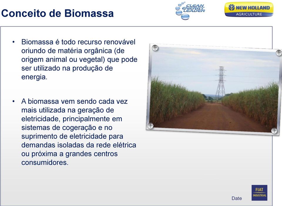 A biomassa vem sendo cada vez mais utilizada na geração de eletricidade, principalmente em