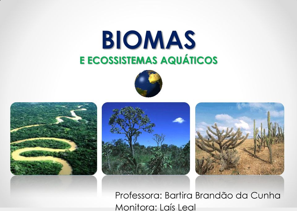 ECOSSITEMAS AQUÁTICOS Professora: