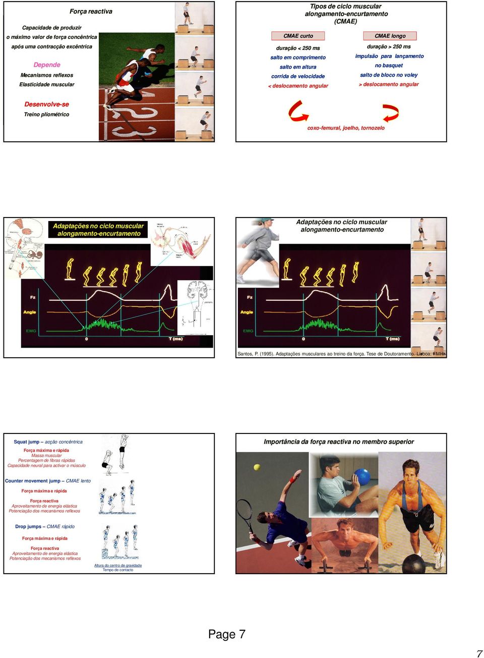 basquet salto de bloco no voley > deslocamento angular Desenvolve-se Treino pliométrico coxo-femural, joelho, tornozelo Adaptações no ciclo muscular alongamento-encurtamento Adaptações no ciclo