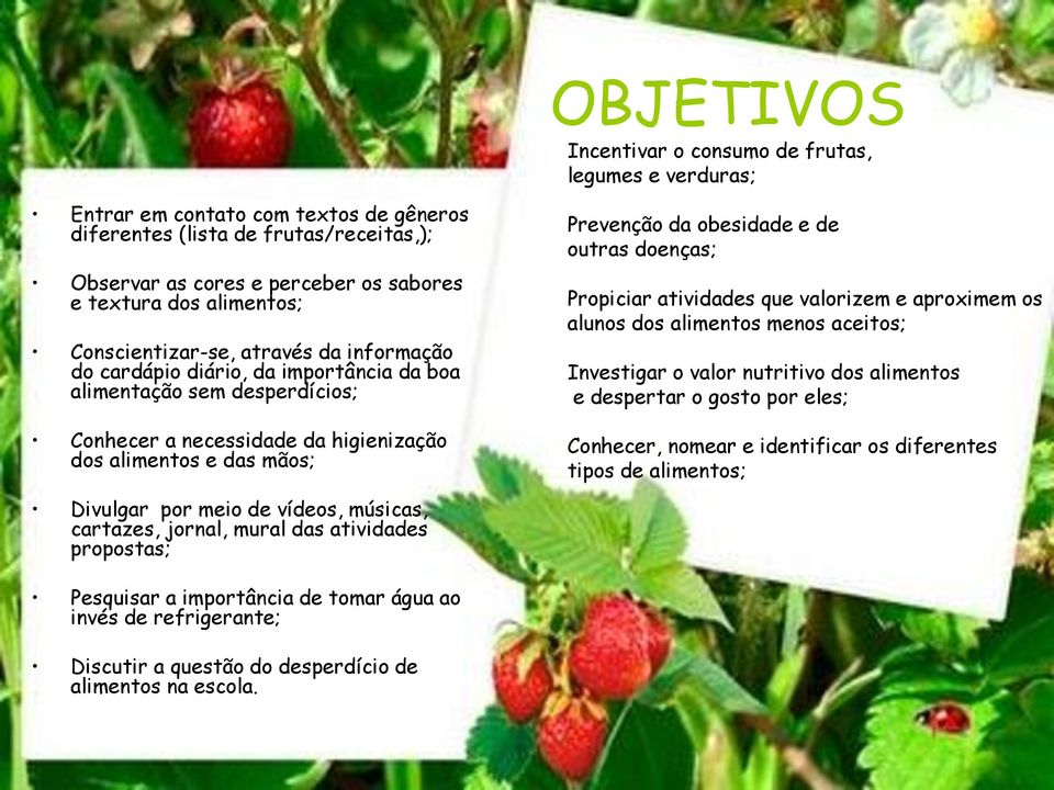 da obesidade e de outras doenças; Propiciar atividades que valorizem e aproximem os alunos dos alimentos menos aceitos; Investigar o valor nutritivo dos alimentos e despertar o gosto por eles;