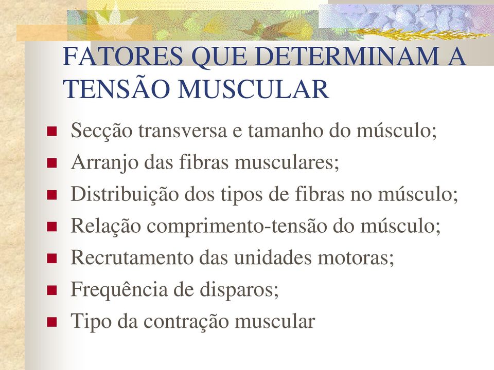 fibras no músculo; Relação comprimento-tensão do músculo; Recrutamento