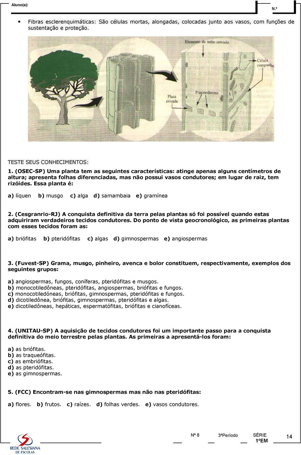 Essa planta é: a) líquen b) musgo c) alga d) samambaia e) gramínea 2.