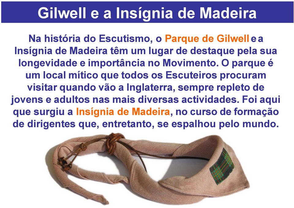 Gilwell e a Insígnia de Madeira - PDF Free Download