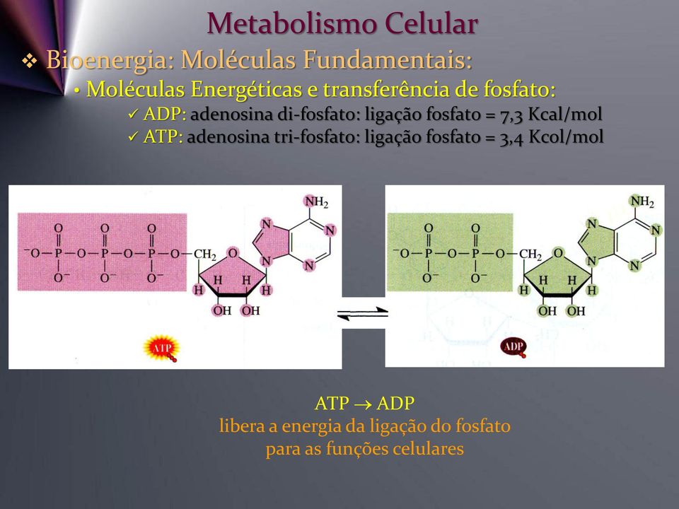 = 7,3 Kcal/mol ATP: adenosina tri-fosfato: ligação fosfato = 3,4