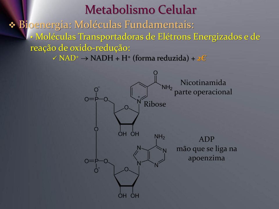 oxido-redução: NAD + NADH + H + (forma reduzida) + 2Є