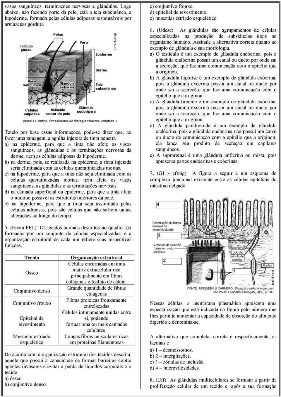 terminações nervosas da derme, nem as células adiposas da hipoderme. b) na derme, pois, se realizada na epiderme, a tinta injetada seria eliminada com as células queratinizadas mortas.