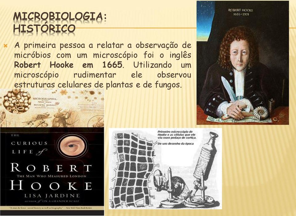Robert Hooke em 1665.