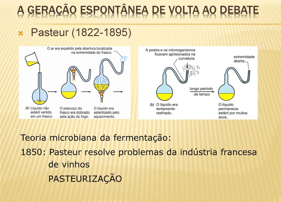 fermentação: 1850: Pasteur resolve