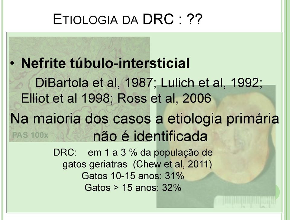 Elliot et al 1998; Ross et al, 2006 Na maioria dos casos a etiologia