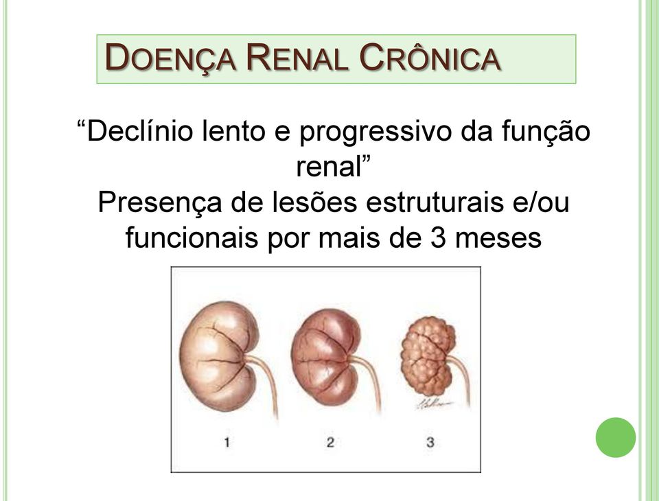 renal Presença de lesões