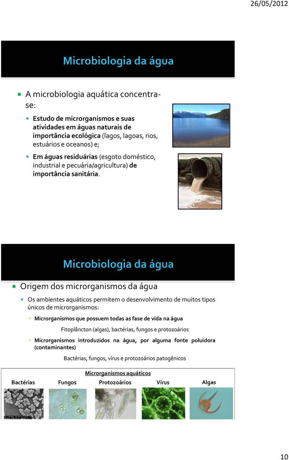 Origem dos microrganismos da água Os ambientes aquáticos permitem o desenvolvimento de muitos tipos únicos de microrganismos: Microrganismos que possuem todas as fase de vida na