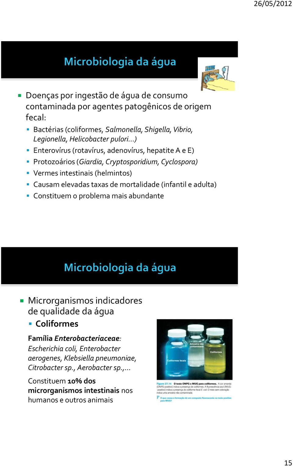 elevadas taxas de mortalidade (infantil e adulta) Constituem o problema mais abundante Microrganismos indicadores de qualidade da água Coliformes Família