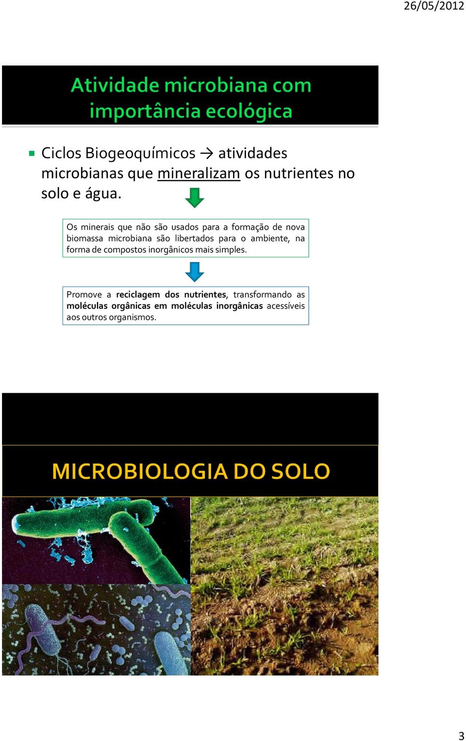 o ambiente, na forma de compostos inorgânicos mais simples.