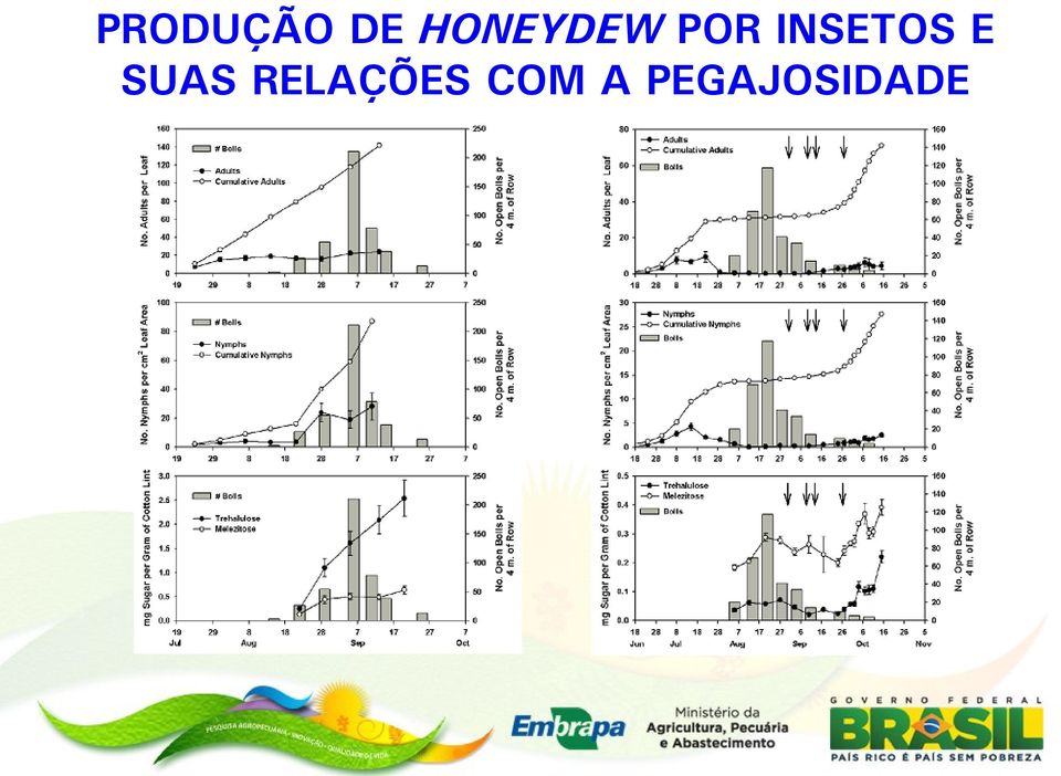 INSETOS E SUAS