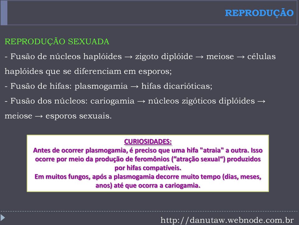 CURIOSIDADES: Antes de ocorrer plasmogamia, é preciso que uma hifa "atraia" a outra.