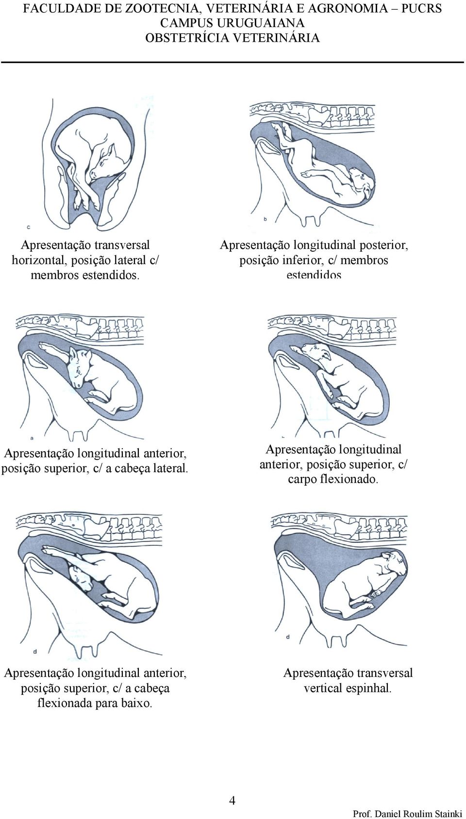 anterior, posição superior, c/ a cabeça lateral.