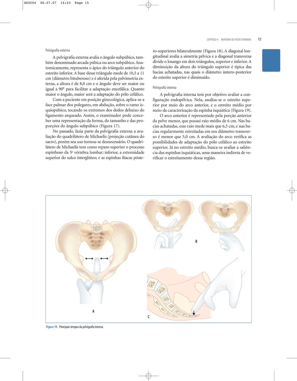 A base desse triângulo mede de 10,5 a 11 cm (diâmetro bituberoso) e é aferida pela pelvimetria externa, a altura é de 8,0 cm e o ângulo deve ser maior ou igual a 90 para facilitar a adaptação