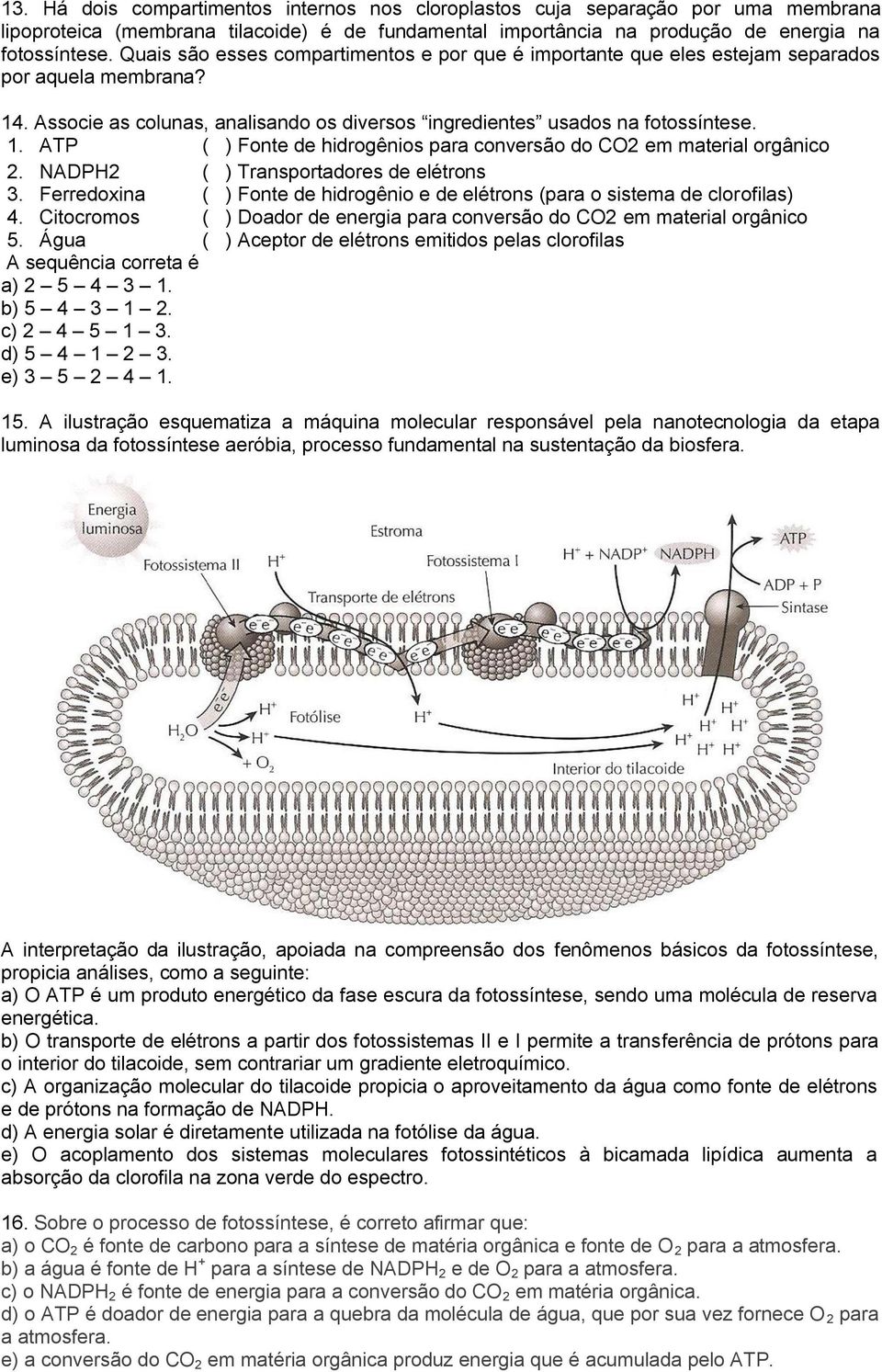 NADPH2 ( ) Transportadores de elétrons 3. Ferredoxina ( ) Fonte de hidrogênio e de elétrons (para o sistema de clorofilas) 4.