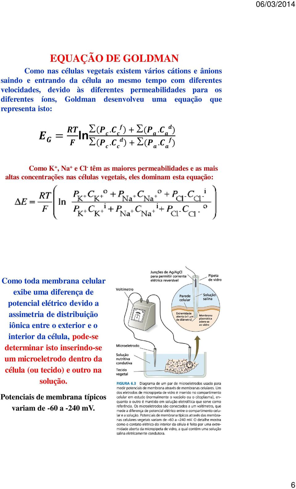 nas células vegetais, eles dominam esta equação: Como toda membrana celular exibe uma diferença de potencial elétrico devido a assimetria de distribuição iônica entre o