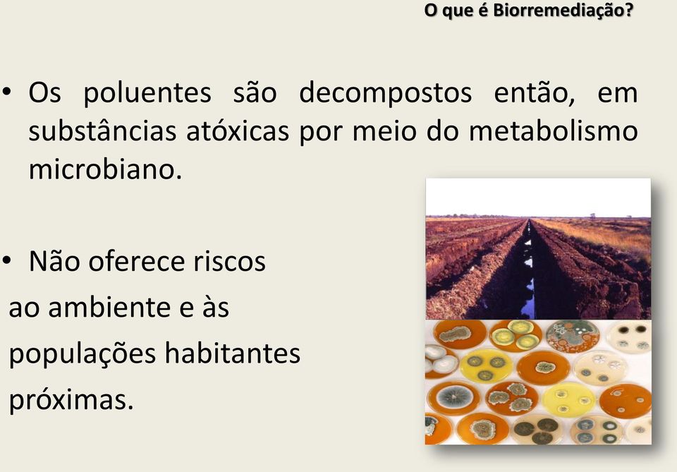 substâncias atóxicas por meio do metabolismo