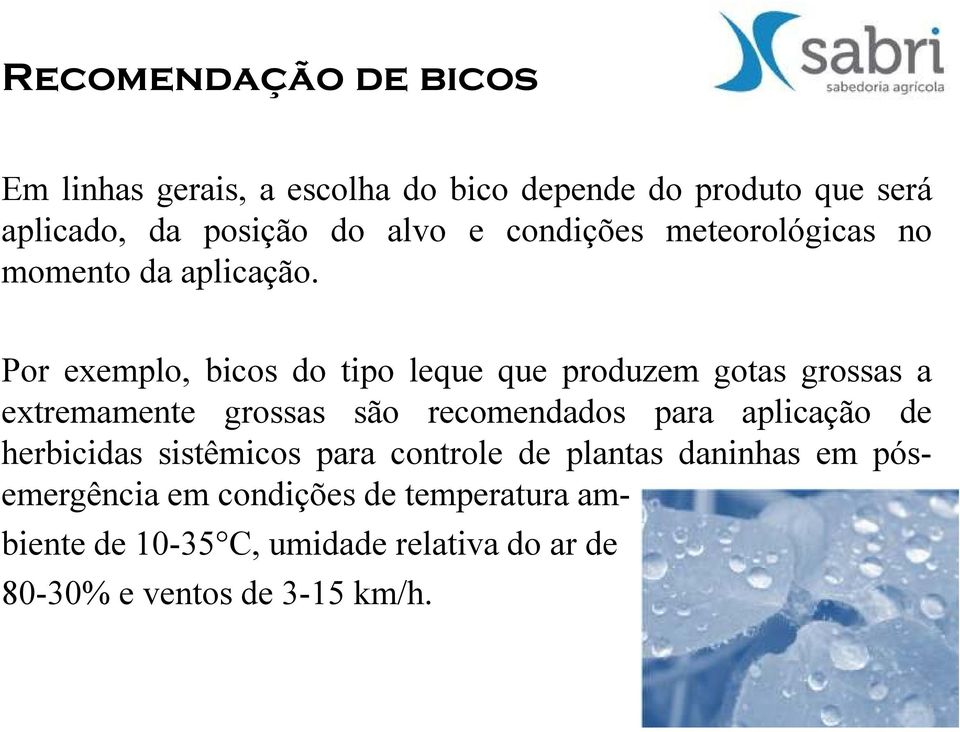 Por exemplo, bicos do tipo leque que produzem gotas grossas a extremamente grossas são recomendados para aplicação