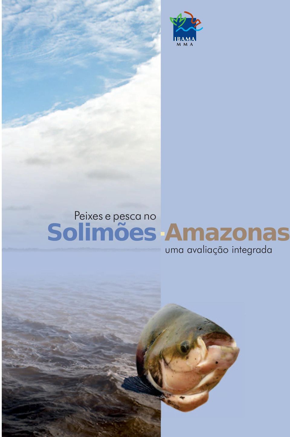 Solimões-Amazonas