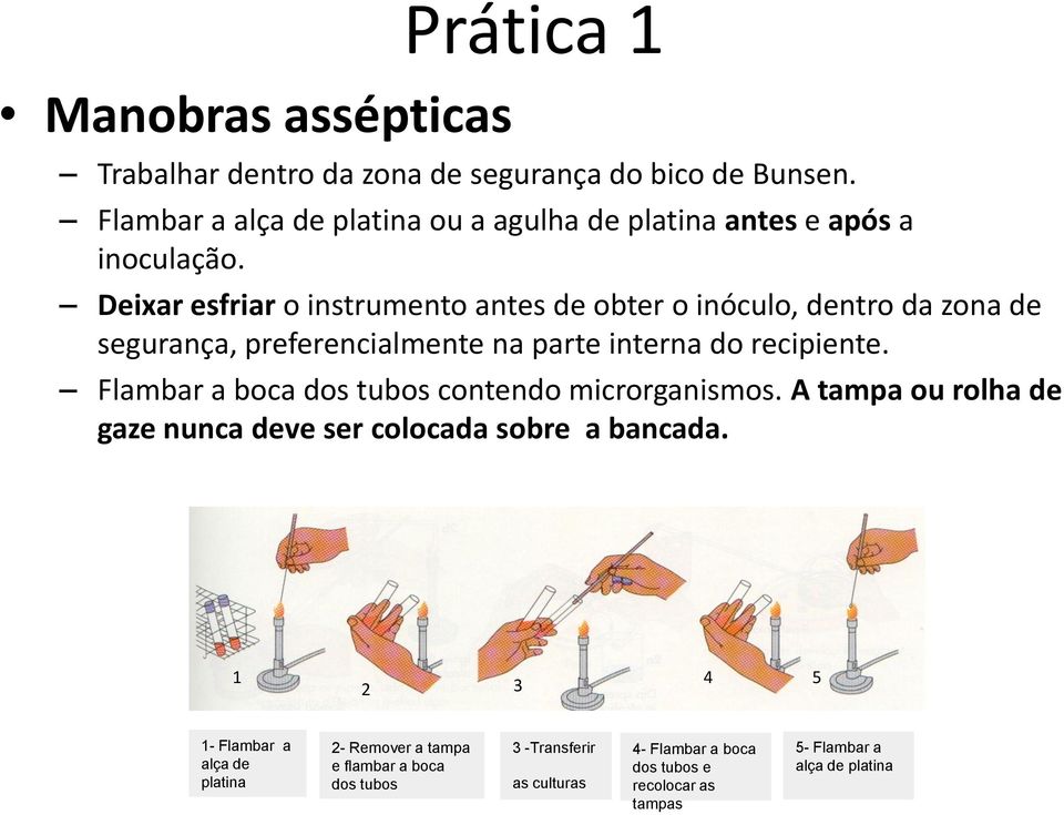 Deixar esfriar o instrumento antes de obter o inóculo, dentro da zona de segurança, preferencialmente na parte interna do recipiente.