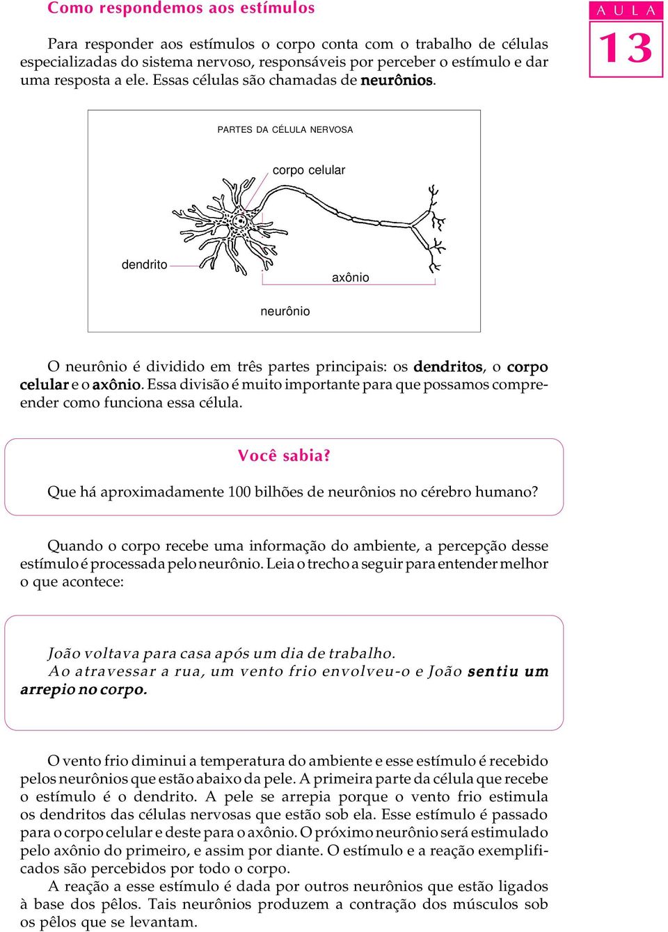 A U L A PARTES DA CÉLULA NERVOSA corpo celular dendrito axônio neurônio O neurônio é dividido em três partes principais: os dendritos, o corpo celular e o axônio.