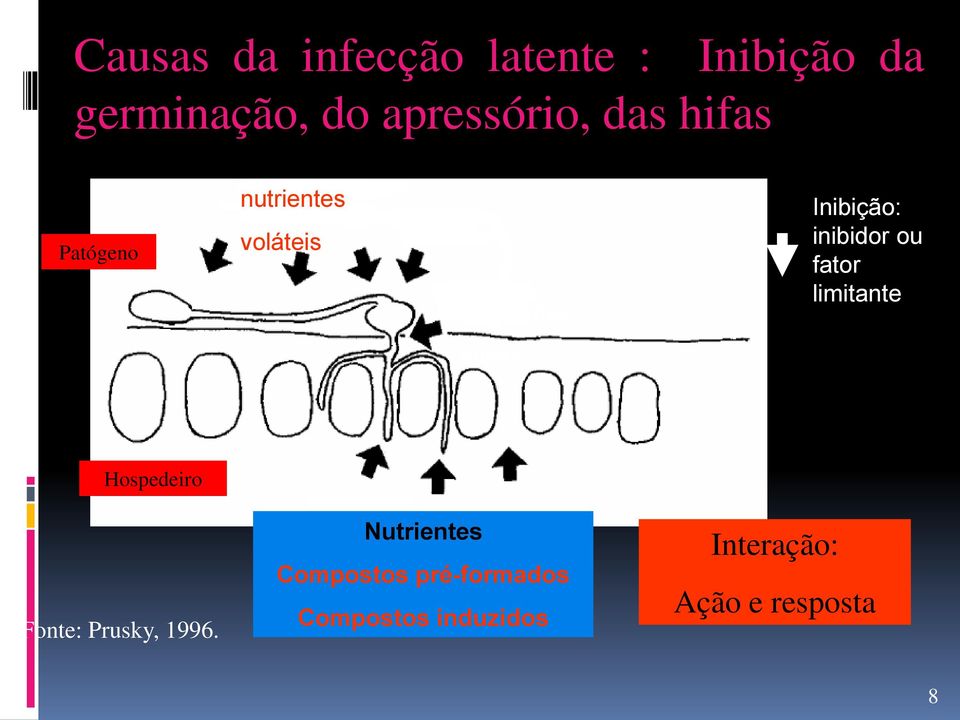 inibidor ou fator limitante etileno Hospedeiro Fonte: Prusky, 1996.