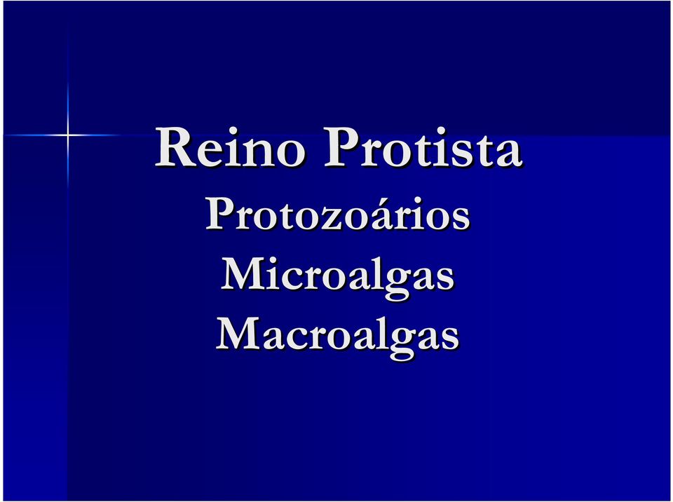 Protozoários